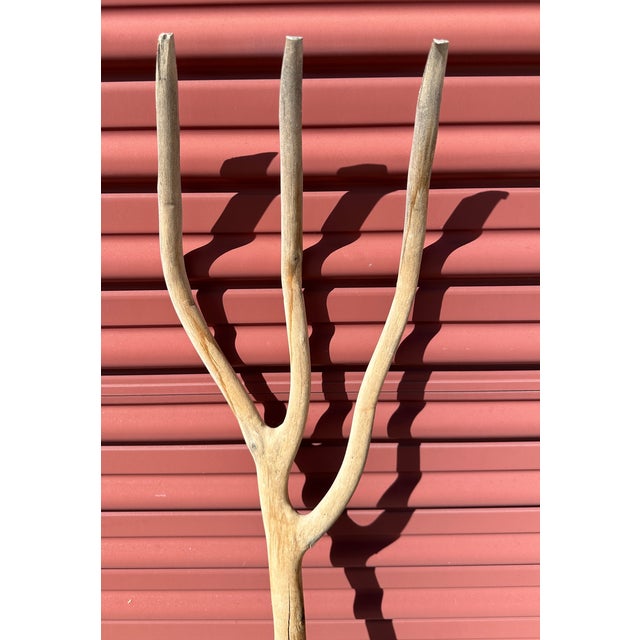 Farmhouse Antique Tree Fork For Sale - Image 3 of 5