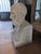 Late 19th Century French School Artist, Bust of Hippocrates, 19th Century, Stone For Sale - Image 5 of 13