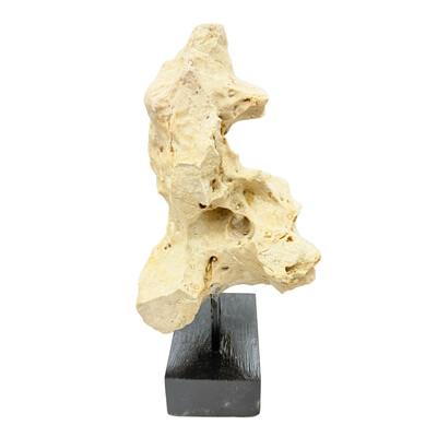 Natural coral stone from Indonesia with a sandy hue, displayed on a handcrafted teak stand. Its organic texture and warm...