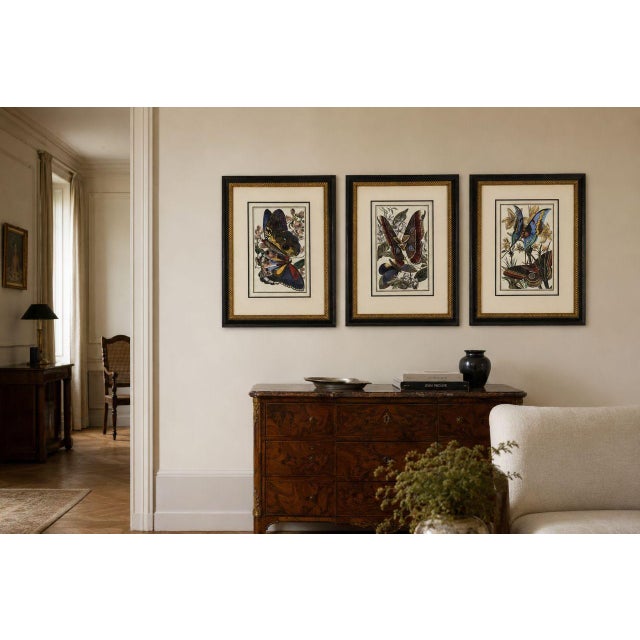 Victorian Style, Framed Stylized Butterfly Prints, Gilt, Painted Wood, USA, 20th c. Set of three Art Nouveau style...