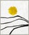 Susan Hable is a renowned artist and designer based in Athens, Georgia, known for her bold and colorful works. Co-founder...