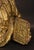 Wood Aniello Stellato, Saint John and Saint Catherine, 17th Century, Wood, Set of 2 For Sale - Image 7 of 16