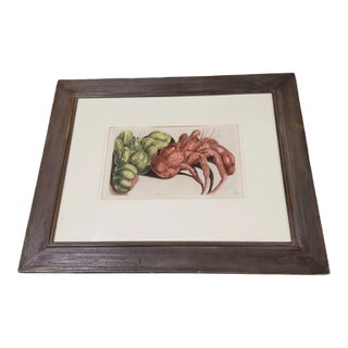 18th C Antique Copper Engraving of Crab For Sale