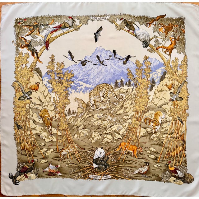 Hermès Sichuan Silk Scarf 2000 Designed by Robert Dallet For Sale - Image 11 of 11