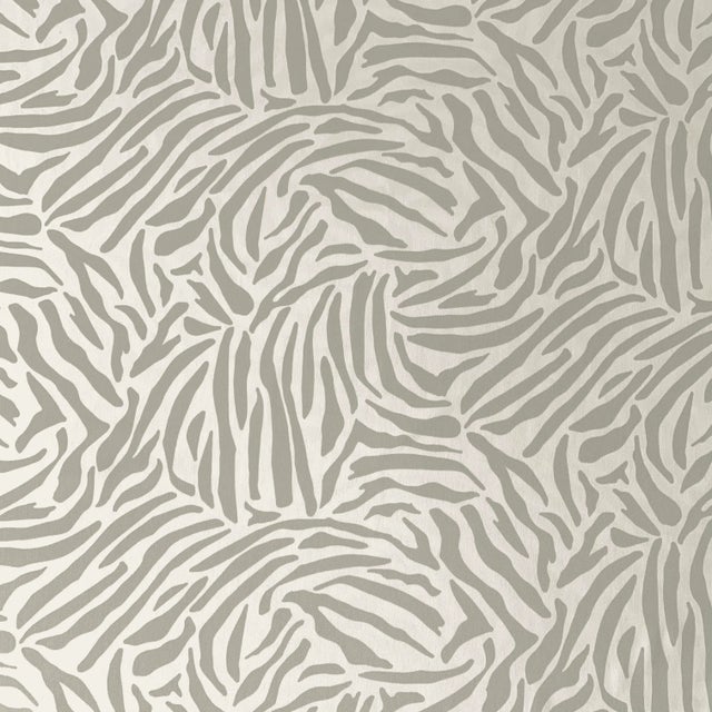 African Free Spirit Designer Vicki Payne Gray Zebra African Animal Print Skin Fabric- 8.9 Yards For Sale - Image 3 of 8