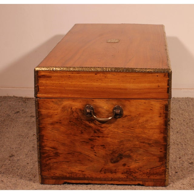 19th Century Marine Chest in Camphor Wood For Sale - Image 6 of 13