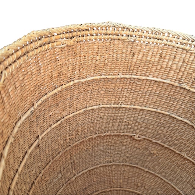 Yanomami Gathering Basket For Sale - Image 12 of 13