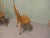 Vintage Windsor Dining Chairs from Ercol, 1960s, Set of 8 For Sale - Image 6 of 9