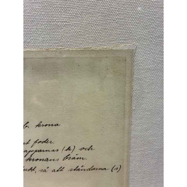 Natural Curiosities Primula Veris Botanical Herbarium Art For Sale - Image 4 of 6