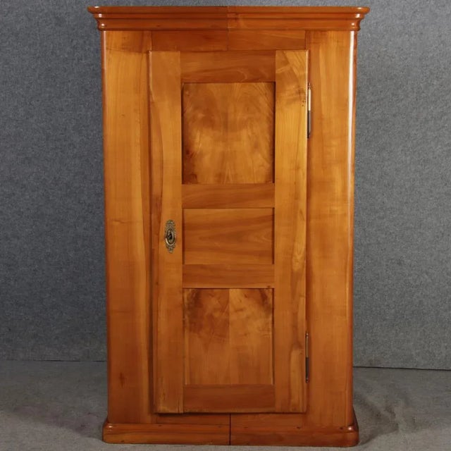 Wood Biedermeier Cabinet in Cherrywood, 1830s For Sale - Image 7 of 18