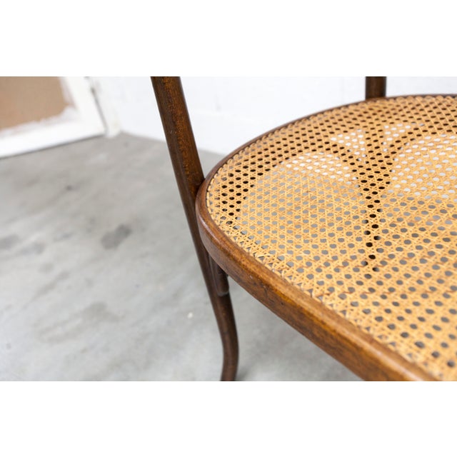 Brown Hand-Caned Bentwood Bench from Fischel, 1930s For Sale - Image 8 of 18