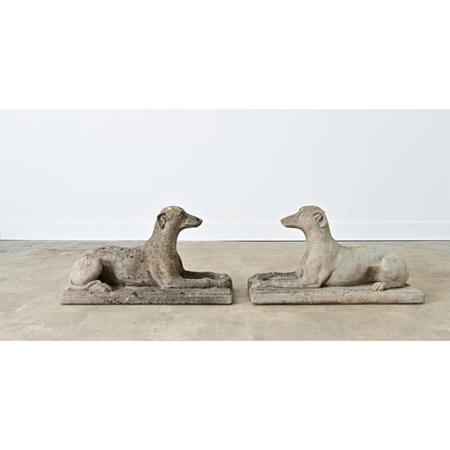 Sculpture Materials Early 20th Century English Pair of Cast Stone Whippet Garden Statues For Sale - Image 7 of 10