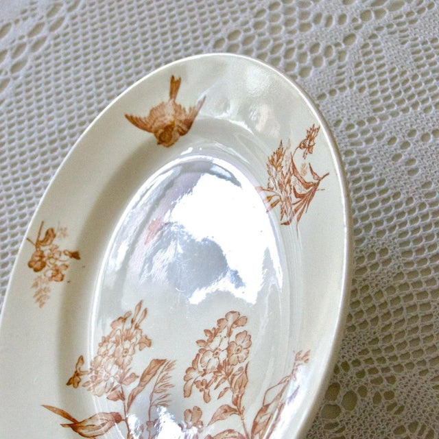 19th Century Longwy Oval Dish Sepia Iron Earth Botanical Bird, 1890s For Sale - Image 6 of 10
