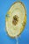 Small Antique Ceramic Serving Dish Tray by Creil Et Montereau, 1890s For Sale - Image 5 of 18