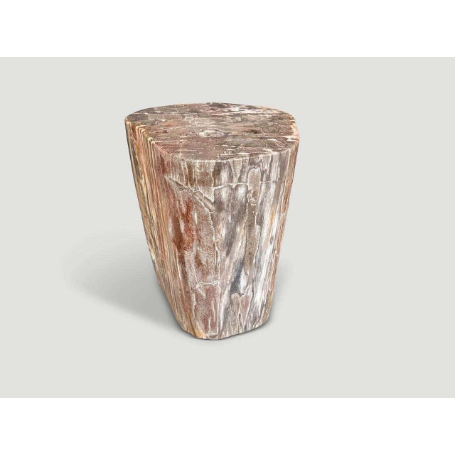 Andrianna Shamaris Coral Toned High Quality Petrified Wood Side Table For Sale - Image 4 of 5