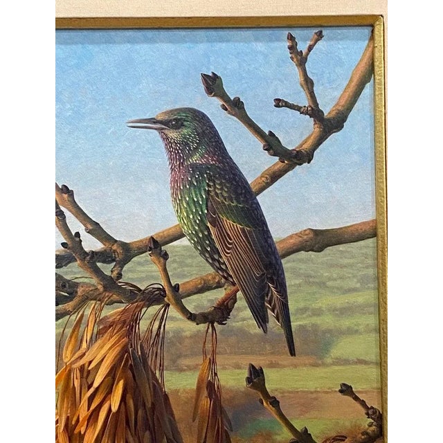 Raymond C. Boothe, Starlings in a Winter Landscape, 1976 For Sale - Image 9 of 12