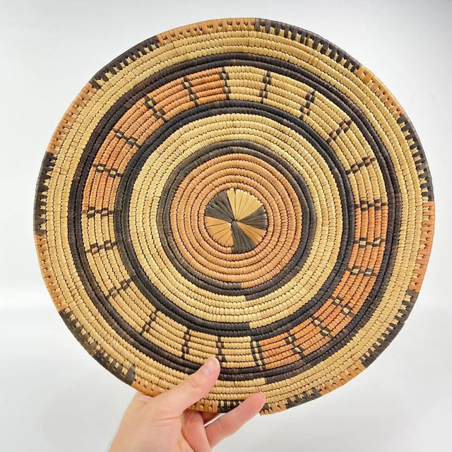 Textile Early 20th Century Hausa Flat Basket Nigeria 13inch MATTER COLLECTION For Sale - Image 7 of 7