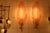2000 - 2009 Leaf-Shaped Pink Murano Glass Wall Sconces in the style of Barovier, 2000s, Set of 2 For Sale - Image 5 of 18