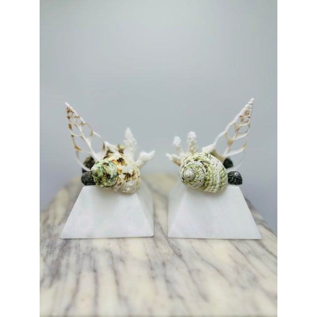 These are a stunning pair of vintage shell sculptures mounted on solid white marble pyramid bases, blending natural...