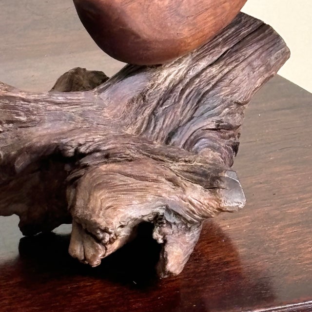 Mid-20th Century Carved Bird on Driftwood, Ethel Yeagle (American 1909-2003) Attr. For Sale - Image 10 of 11