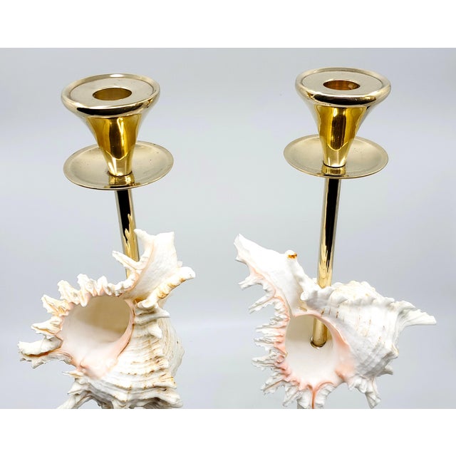 Brass Candlesticks Shells Seashells Pair For Sale - Image 9 of 15