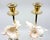 Brass Candlesticks Shells Seashells Pair For Sale - Image 9 of 15