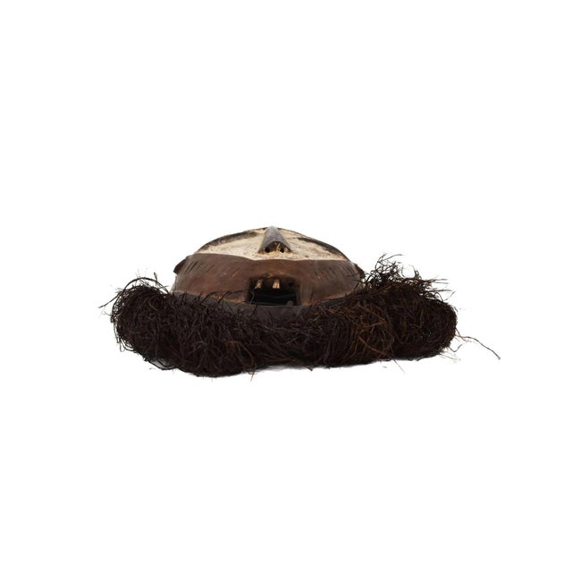 Early 20th Century Ngbaka Mask with Beard For Sale In Denver - Image 6 of 7