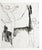 Marino Marini, Jugglers X Edition of 65, 1950s, Etching For Sale