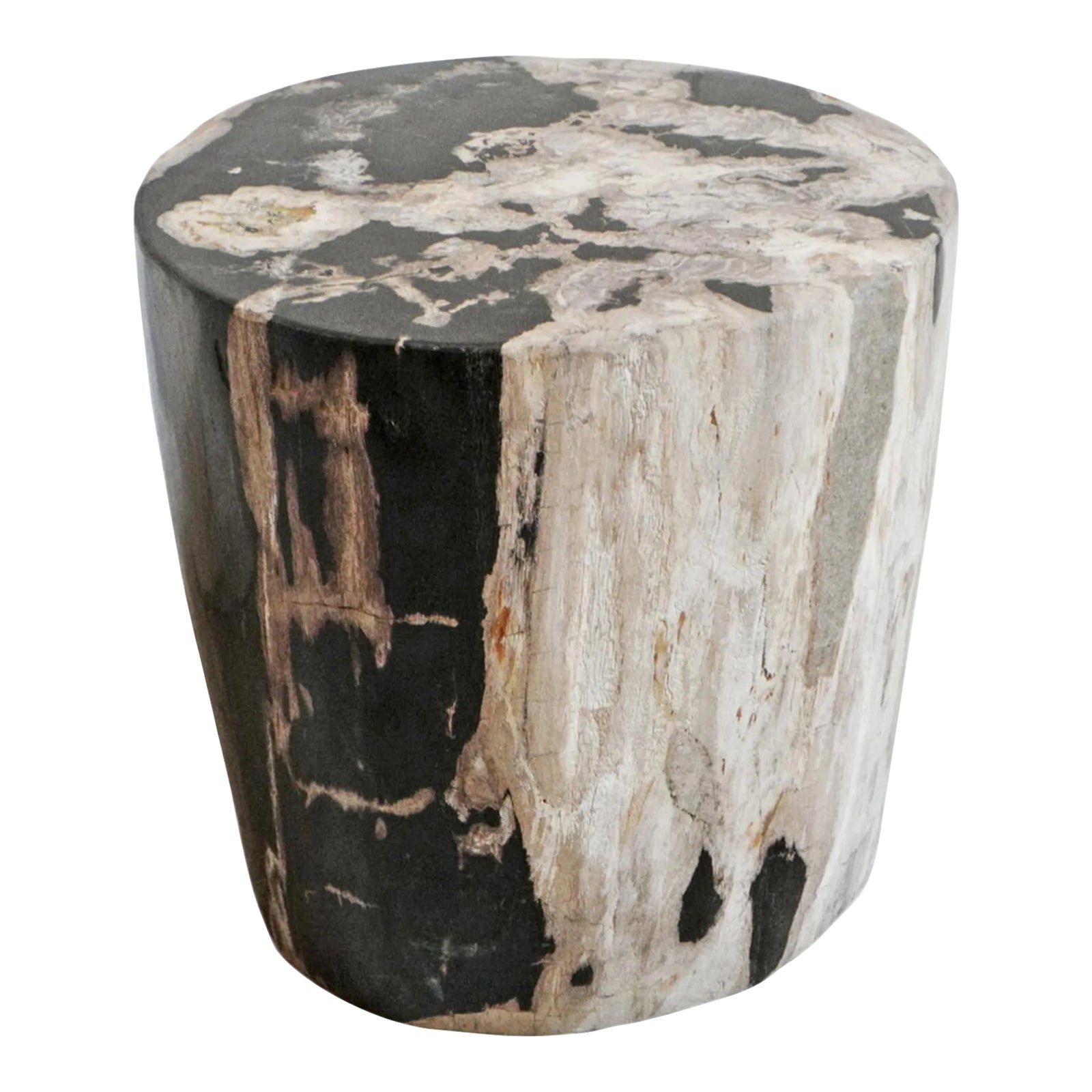 Petrified Wood Stump Side Table Chairish