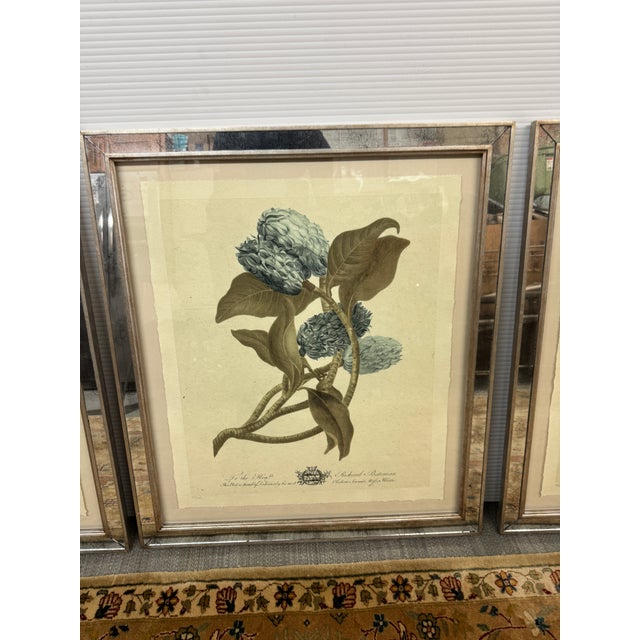 Trowbridge Gallery Imperial Flowers Original Prints, Set of Three For Sale - Image 11 of 12