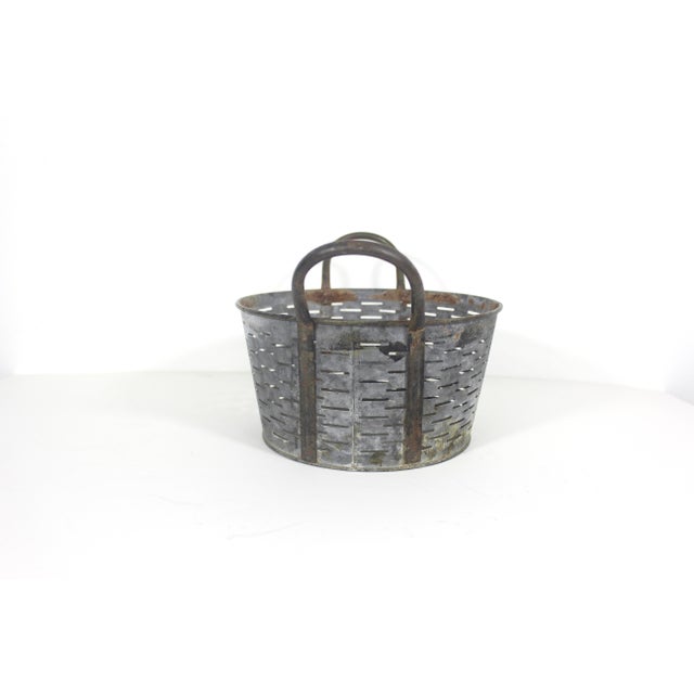 Farmhouse Vintage Galvanized Olive Gathering Basket For Sale - Image 3 of 8
