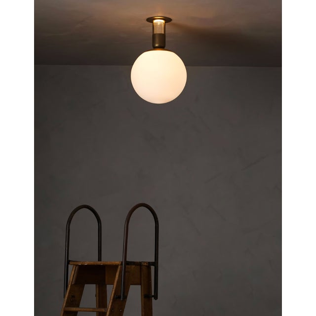 Modern Allied Maker Aria 12" Flush Globe For Sale - Image 3 of 3
