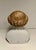 Victorian Antique Bisque Porcelain Shoulder Head Molded Hair Doll Numbered For Sale - Image 3 of 9