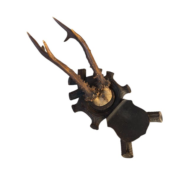 A roe deer trophy with Black Forest antlers on an unusual wood plaque — classic hunting-lodge and chalet wall decor.