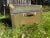 Vintage Travel Trunk For Sale - Image 11 of 11