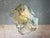 Multi léonard pendant lamp in bio material with natural dyes by thibault philip. One of a kind. Dimensions: w 80 x d 75 x...