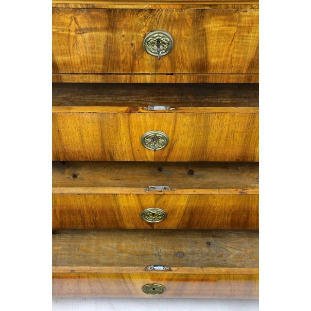 Antique Biedermeier Chest of Drawers, Austria, 1830 For Sale - Image 12 of 18