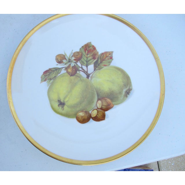 Ceramic Vintage Bavarian Fruit Plates - Set of 6 For Sale - Image 7 of 10