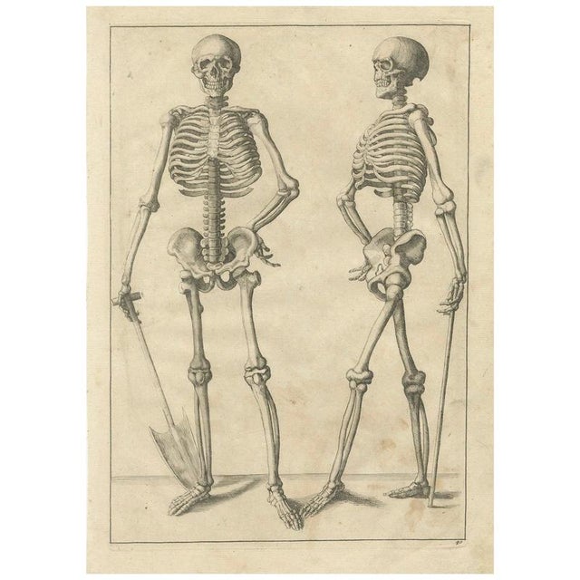 Anatomical Skeleton Study, 1745, Paper For Sale - Image 9 of 9