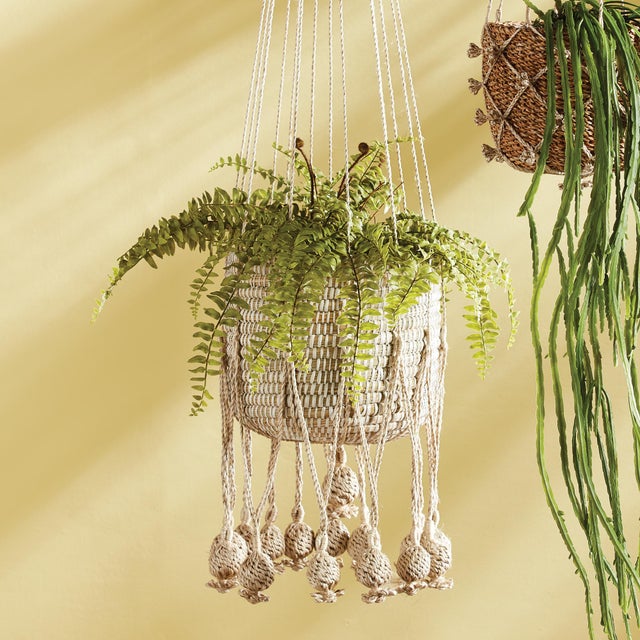 Adding live plants to your living space is good for the soul, and easy on the eyes. This hanging basket is a simple way to...