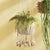 Adding live plants to your living space is good for the soul, and easy on the eyes. This hanging basket is a simple way to...