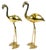 Mid-Century Brass Flamingos from Gilde Handwerk, 1960s, Set of 2 For Sale
