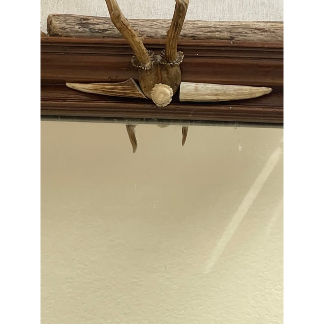Natures Beauty Antique Black Forest mirror decorated with roe antlers, antler tips and borrows.