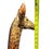 Late 20th Century Large Hand-Carved Hand-Painted African Wooden Giraffe Sculpture Floor Statue 60” Safari Decor For Sale In Chicago - Image 6 of 9