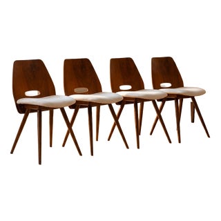 Vintage Chairs Tatra Pravenec Gentleman Mid-20th Century, Czechoslovakia, 1950s, Set of 4 For Sale