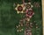 Green 1920s Green Floral Modern Antique Chinese Art Deco Rug 9' X 11' 6" Handknotted Wool Carpet For Sale - Image 8 of 12