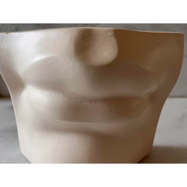 Vintage Italian Renaissance Michelangelo's "David" Plaster Mouth For Sale - Image 4 of 8