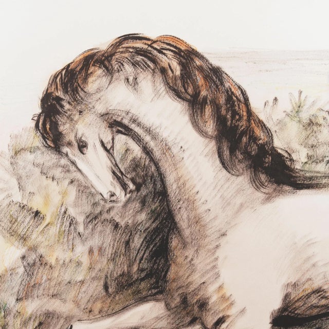 Domenico Purificazione, Horse, 1980s, Gouache, in Flawless conditions. Designed 1980 to 1989