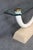 Maison Jansen Attributed Travertine Brass & Glass Tusk Style Console Table For Sale - Image 9 of 10