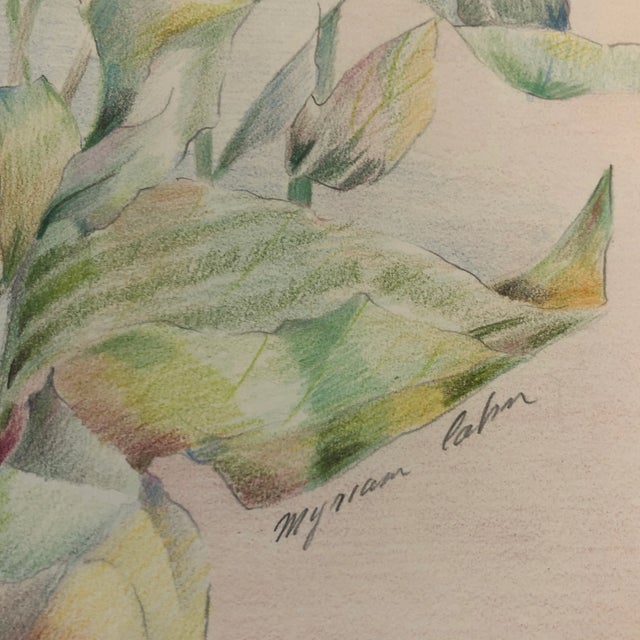 Original soft colored pencil sketch on paper signed bottom right 11 x 14 unframed